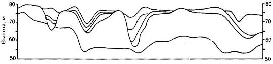 Описание: Рис. 11.3. Наложение профилей рельефа, позволяющее наметить поверхности выравнивания (на высотах 75-76 м); ландшафт денудационной равнины